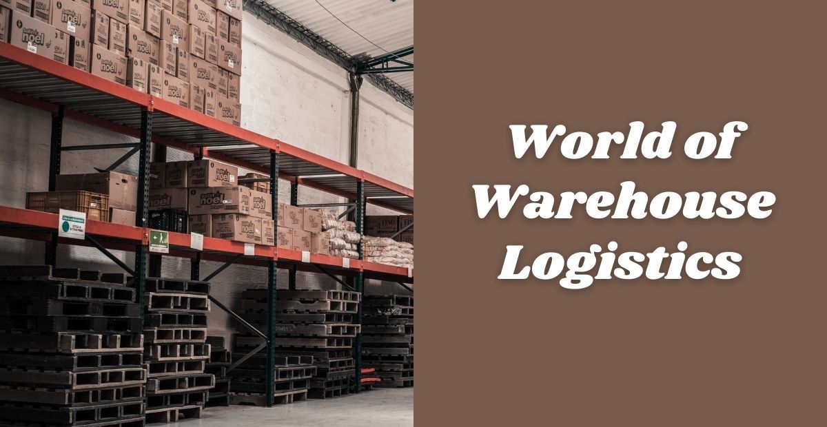 Navigating the World of Warehouse Logistics: Functions, Challenges, and Innovations