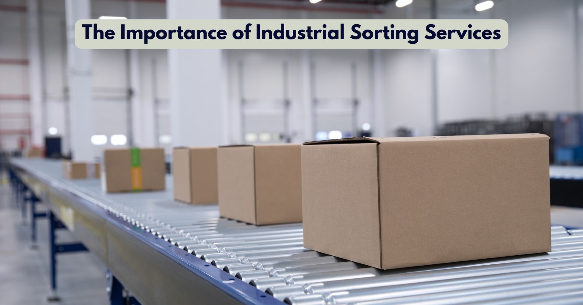 The Importance of Industrial Sorting Services